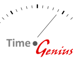 Time Genius 250x125